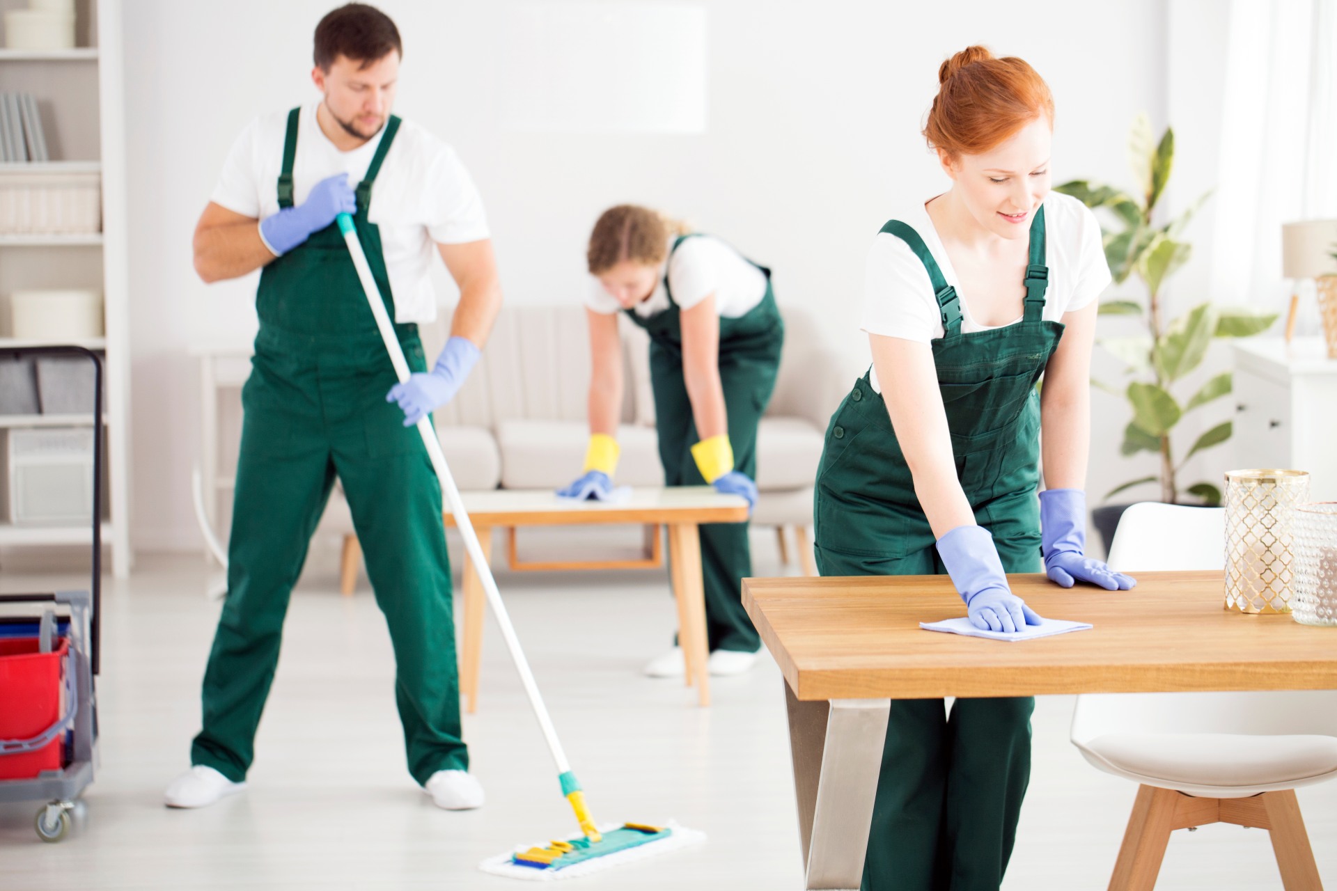 Group of cleaners on duty